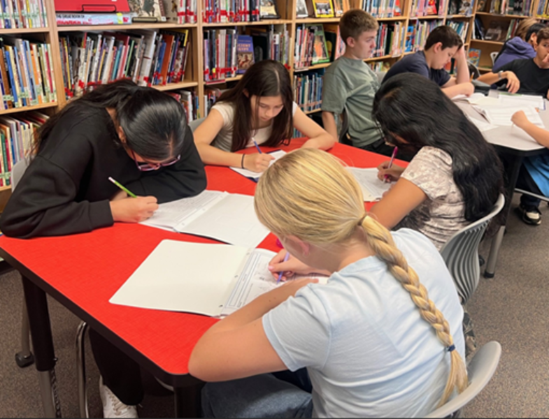 Reading Comprehension Activity